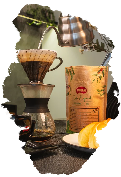 Apresentação visual do Café Especial Lindau